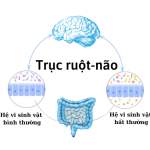 MỐI LIÊN HỆ GIỮA TRỤC RUỘT-NÃO VÀ SỨC KHỎE TOÀN DIỆN