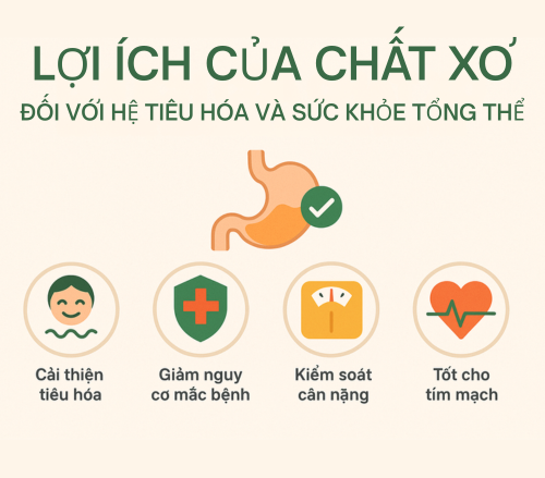 Lợi ích của chất xơ đối với hệ tiêu hóa và sức khỏe tổng thể