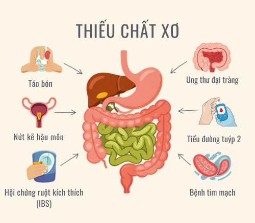 Thiếu chất xơ