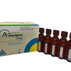DUNG DỊCH UỐNG AMXOLPECT – LÀM LONG ĐỜM TRONG CÁC BỆNH PHẾ QUẢN PHỔI CẤP VÀ MẠN TÍNH (HỘP 20 ỐNG X 5ML)