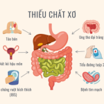 THIẾU CHẤT XƠ: NGUY CƠ TIỀM ẨN ẢNH HƯỞNG ĐẾN SỨC KHỎE BẠN CẦN BIẾT