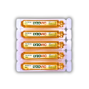 SIRO MEN TIÊU HOÁ LYZOVIC – HỖ TRỢ BỔ SUNG CÁC MEN TIÊU HOÁ CÓ ÍCH, GIÚP ĂN NGON (HỘP 20 ỐNG X 10ML)