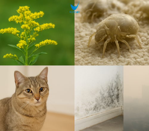 Viêm mũi dị ứng ở trẻ em: Nguyên nhân, triệu chứng và cách chăm sóc 3 Phấn hoa, mạt bụi nhà, lông mèo, nấm mốc và khói bụi gây viêm mũi dị ứng ở trẻ em