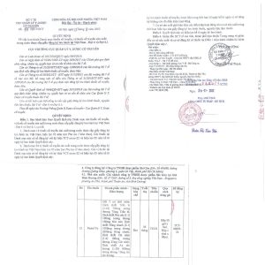 SIRO PECTOL TE – DÙNG TRONG HO, VIÊM PHẾ QUẢN, SỔ MŨI, CẢM MẠO DO PHONG HÀN GÂY RA